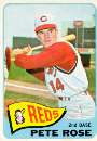 (Pete Rose)